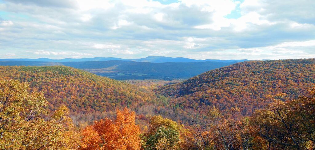 Fall Foliage Prediction Maps